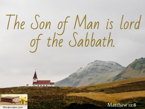 The Son of Man is lord of the Sabbath. / Matthew 12:8 Lord Of The Sabbath, Son Of Man, Jesus Teachings, The Son Of Man, Jesus Is Lord, Jesus Is, Holy Bible, Verses, Bible Verses