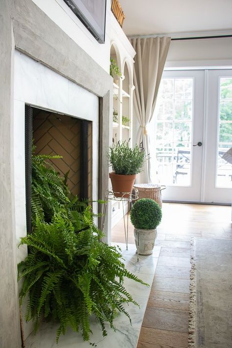 Fern In Fireplace, Plants In Fireplace Ideas, Summer Fireplace Decor, Fireplace Plants, Fireplace Faux, Fireplace Candelabra, Dream Fireplace, Farmhouse Fireplace Decor, Seeking Lavender Lane