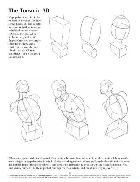 Figure Drawing Basics Anime Anatomy, Drawing Basics, Figure Drawing Tutorial, Draw Comics, Human Body Drawing, Perspective Drawing Lessons, Drawing Cartoon Faces, Anatomy Tutorial, Stick Figure Drawing