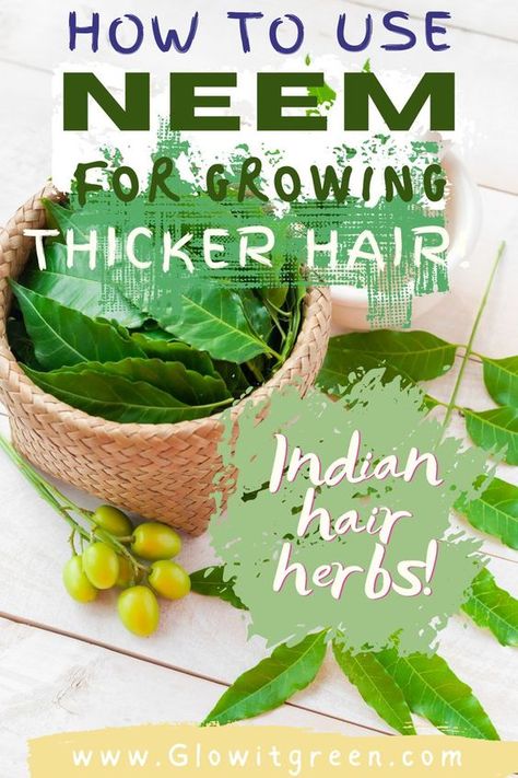 Fungeek For Hair, Anti Fungal Herbs, Neem Hair Mask For Hair Growth, Neem Powder For Hair Growth, Natural Herbs For Hair Growth, Neem Oil For Hair Growth, Grow Thicker Hair Naturally, Hair Growth Herbs, Hair Herbs