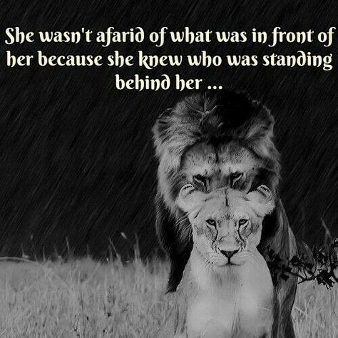 She wasn't afraid of what was in front of her because she knew who was standing behind her. . . Lioness Quotes, Snow Tattoo, Lion Lioness, Lion Couple, White Lions, Tattoo Lion, Lion Quotes, A Real Man, Lion And Lioness