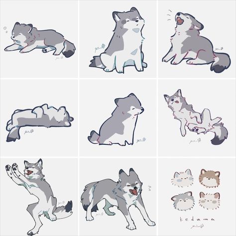 Wolfs by @rinrinwolf Wolf Art Drawing, Cloud Meadow, Husky Drawing, Wolf Poses, Cute Wolf Drawings, Awesome Drawings, Drawing Bases, Canine Drawing, Drawing Help