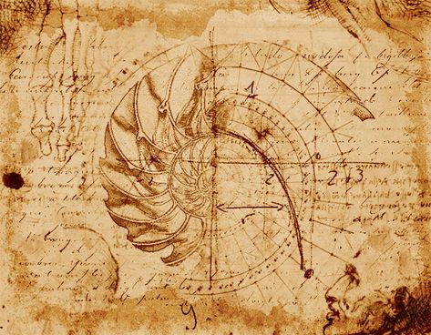 Lost Page Leonardo Da Vinci Codex The Golden Spiral Photoshop Tutorial | PSDDude Davinci Sketches, Leonardo Drawings, Codex Atlanticus, Da Vinci Inventions, Ink Making, Photoshop Sketch, Istoria Artei, Golden Spiral, Sketch Photoshop