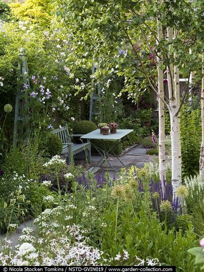 The Best Kept Secret to Dramatically Improving Your Curb Appeal Small Cottage Garden Ideas, Garden Seating Area, Cottage Garden Design, Have Inspiration, The Secret Garden, Woodland Garden, Garden Seating, Small Garden Design, Courtyard Garden