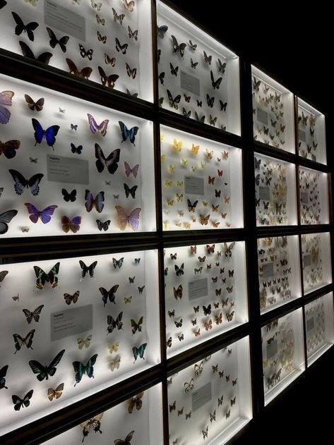 Luke Ryder, Gigi Graham, Butterfly Museum, Ninth House, معرض فني, Butterfly Art, Book Aesthetic, Aesthetic Pictures, Wallpaper Backgrounds