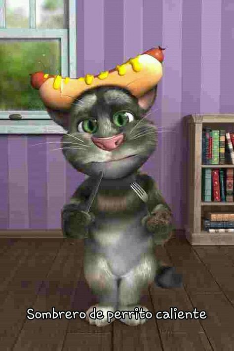 Perrito calient Talking Tom And Angela, Talking Tom Cat 2, Tom And Angela, Wallpaper Songs, Talking Tom Cat, Water For Elephants, Joy Quotes, Tom Cat, Cat Talk