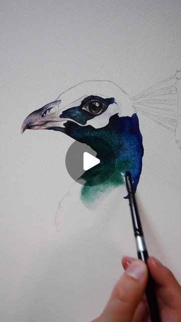 Kiley Busko on Instagram: "Peacock head" Peacock Head, Peacock Watercolor, Watercolor Peacock, Art Demo, February 15, On Instagram, Instagram, Art