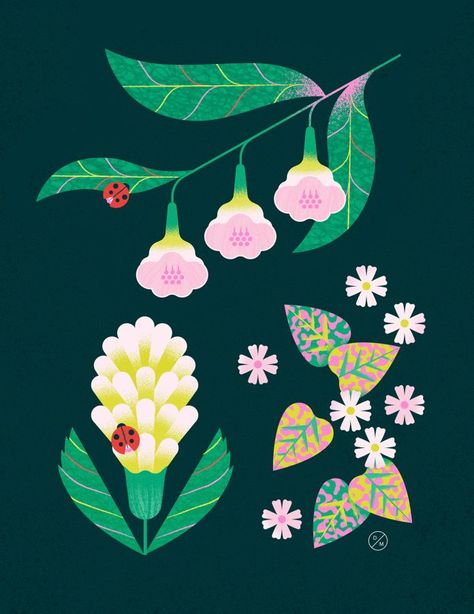 Spring Illustrations by Delphine Meier Flowers Everywhere, Spring Illustration, Plant Illustration, Personal Project, Flower Illustration, Pattern Illustration, Floral Illustrations, Botanical Illustration, Cute Illustration