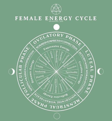 Female Energy, Womb Healing, Menstrual Health, Feminine Health, Soul Healing, Moon Cycles, Healing Modalities, Hormone Health, Spiritual Wellness