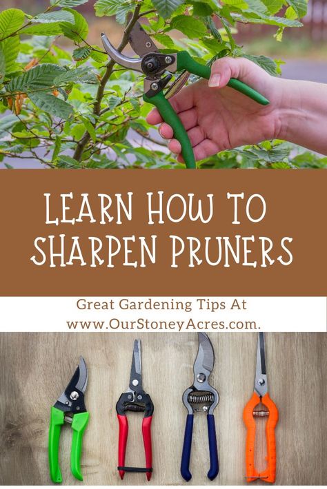 Clean Garden Tools, Astuces Diy, Garden Tool Storage, Garden Hand Tools, Garden Care, Gardening Tools, Lawn And Garden, Raised Garden, Organic Gardening