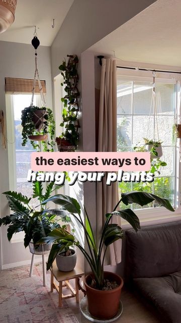 Chantel Gray | 🪴 Plants + DIY on Instagram: "The EASIEST ways to hang your plants! My go to curtain rod, or tension rod! Always make sure to use a heavy duty anchor that can support the weight of the plants when they’re hanging. They can be extremely heavy when they’re freshly watered! The curtain rod makes adjusting and moving your plants to the perfect placement SO easy. Instead of the plant being stuck in one place on a hook, you can slide them where ever need be on the rod! I love my speci Hanging Plant Curtain Rod, Hanging Plants Indoor Curtain Rods, Plant Tension Rod, Curtain Rod Hanging Plants, Plants On Curtain Rod, Tension Rod Plant Hanger, Hanging Plants From Curtain Rod, Curtain Rod Plant Hanger, Pool Plants