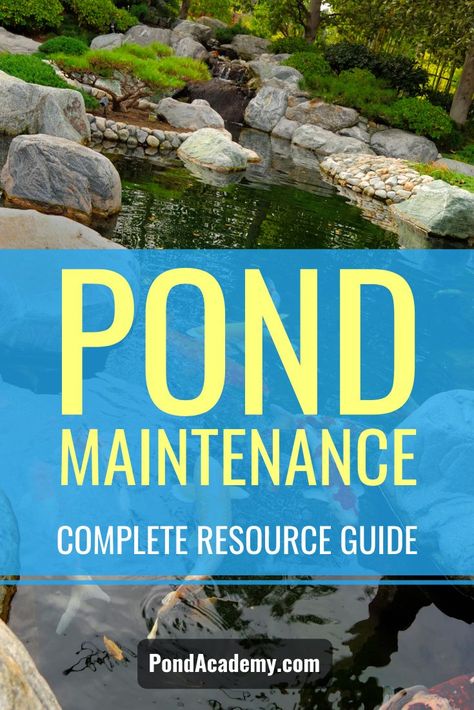 Pond Filter Cover Ideas, Ponds With Waterfalls, Water Fall Ideas, Pond Filter System, Pond Algae, Diy Ponds Backyard, Backyard Ponds, Pond Aerator, Pond Cleaning