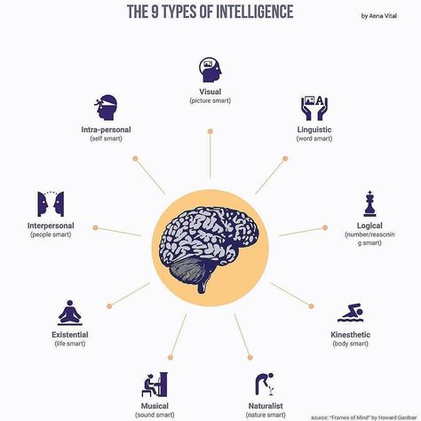 from @annavitals - The 9 types of intelligence according to the theory of multiple intelligences #regrann Improve Brain Power, Multiple Intelligence, Social Intelligence, Multiple Intelligences, Types Of Intelligence, Short Clip, How To Create Infographics, Make An Infographic, Information Graphics