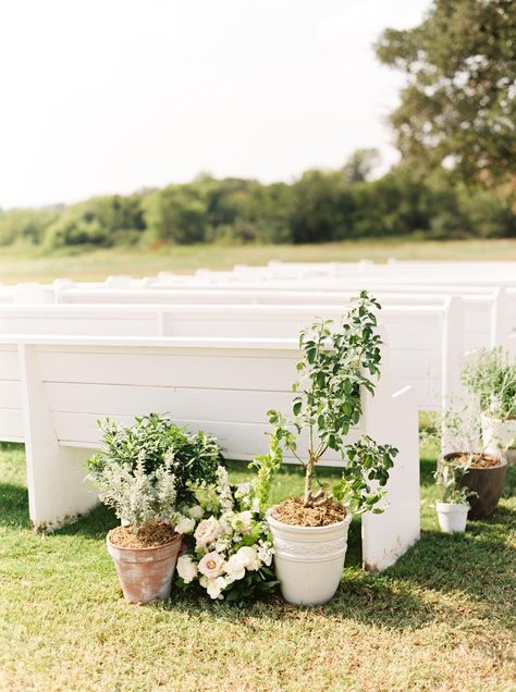 Potted Plant Centerpieces, Plant Centerpieces, Wedding Plants, Aisle Flowers, Terracotta Plant Pots, Garden Wedding Decorations, Wedding Set Up, Diy Wedding Flowers, Garden Party Wedding