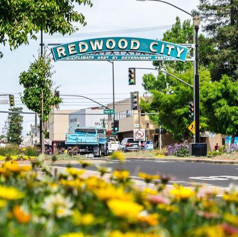 Top 10 Places To Visit In Redwood City, CA | Silicon Valley Camping In California, California Road Trips, Water Temple, California Beaches, California Camping, California Mountains, Beer Pub, California Desert, Travel California