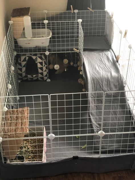 Small Rabbit Cage Ideas, Bunny Playpen Ideas, Rabbits Cage Ideas, Animal Cage Ideas, Cute Bunny Cage Ideas Indoor, Pet Bunny Ideas, Pet Cage Ideas, Bunny Cage Diy, Bunny House Indoor Diy