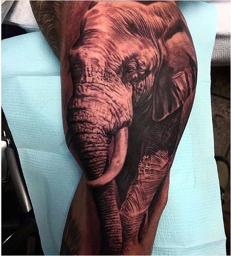 Melina Tattoo, Indian Elephant Tattoo, Animal Tattoos For Women, Animal Sleeve Tattoo, Famous Tattoo Artists, Dog Memorial Tattoos, African Tattoo, Dog Paw Tattoo, History Tattoos