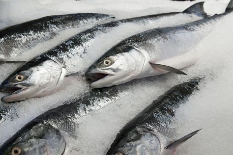 When shopping for fish, don't forget the freezer section. Buying frozen fish is often better than buying fresh fish. Frozen Fish Fillets, Frozen Fish, Frozen Salmon, Sockeye Salmon, Tea Eggs, Ribs On Grill, Fish Fillet, Fresh Fish, Seafood Dishes