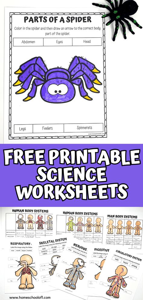 93 Best Free Printable Science Worksheets For Elementary Stem Worksheets Free Printables, Stem Worksheets, Scientific Method Printable, Scientific Method For Kids, Free Science Printables, Body Systems Worksheets, Worksheets For Elementary, Free Science Worksheets, Science Lessons Elementary