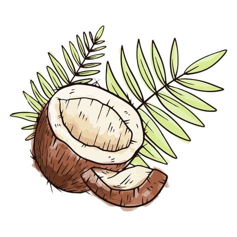 Half coconut with leaves watercolor #AD , #paid, #SPONSORED, #watercolor, #leaves, #coconut Coconut Tattoo Design, Coconut Drink Tattoo, Coconut Tattoo Ideas, Coconut Tattoo Minimalist, Coconut Doodle, Watercolor Coconut, Coconut Drawing, Coconut Tattoo, Coconut Delight