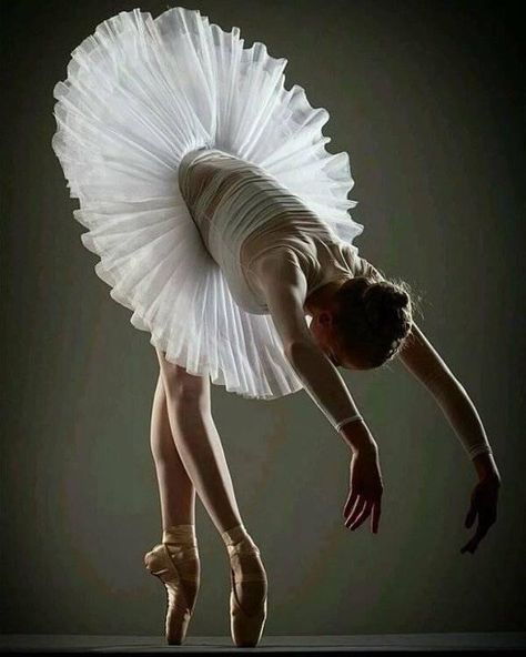 Adult Ballet Class, Ballet Pictures, Adult Ballet, Ballet Academy, Ballet Beauty, White Tutu, Ballet Poses, Ballet Inspiration, Ballet Art