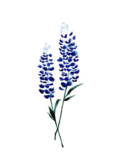 Bluebonnet Flower Tattoo Design by Pasadya Floral Watercolor Tattoo Texas Wildflower Body Art - Etsy Bluebonnet Tattoo, Bluebonnet Flower, Floral Watercolor Tattoo, Wildflowers Tattoo, Tatoo 3d, Wal Art, Soyut Sanat Tabloları, Henna Tattoos, Wolf Tattoos