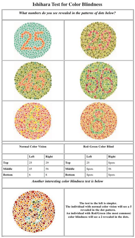 Lens Colour For Indian Skin, Hindi Warna Mala Chart, Colour Blind Test, Eye Color Test, Color Vision Deficiency, Cpt Codes, Eye Test Chart, Eye Color Chart, Color Vision