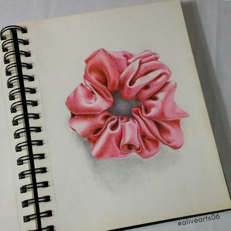 Colour Pencil Object Drawing, Scrunchie Drawing, Realism References, Realism Drawings, Colour Sketches, Pencil Colours, Pot Gantung, Realistic Animal Drawings, Small Drawing