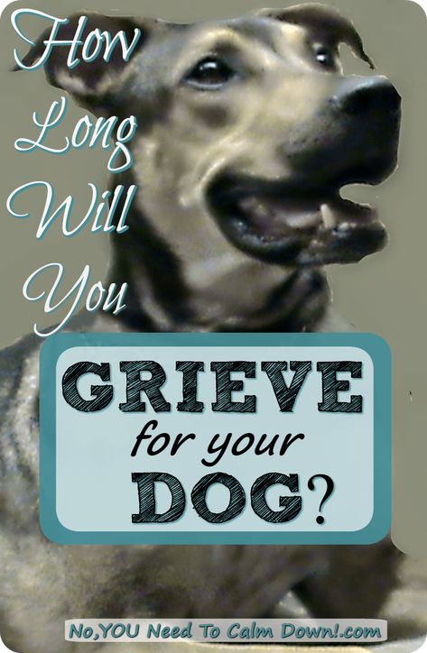 Losing Your Best Friend, Pet Loss Dog, Miss My Dog, Dog Loss, Angel Babies, Dog Heaven, Helpful Things, Loss Of Dog, Real Family