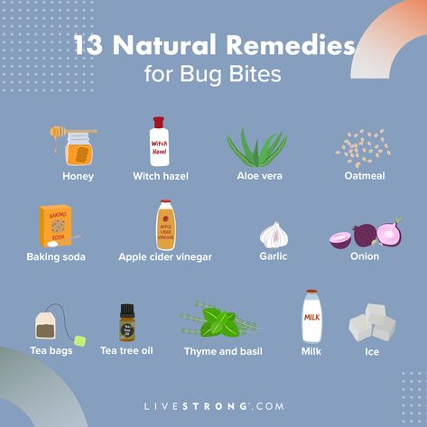 Natural Bug Bite Remedy, Natural Bug Bite Relief, Remedies For Bug Bites, Natural Itch Relief, Mosquito Bite Relief, Honey Baking, Remedies For Mosquito Bites, Bug Bites Remedies, Bug Bite Relief