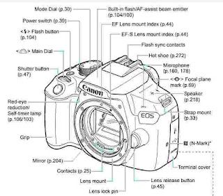 Canon EOS 1300D Manual Camera Diagram, Photography Challenge Beginners, Canon Camera Photography, Beginner Photography Camera, Canon Eos 1300d, Manual Photography, Camera Drawing, Photography Cheat Sheets, Out Of The Blue