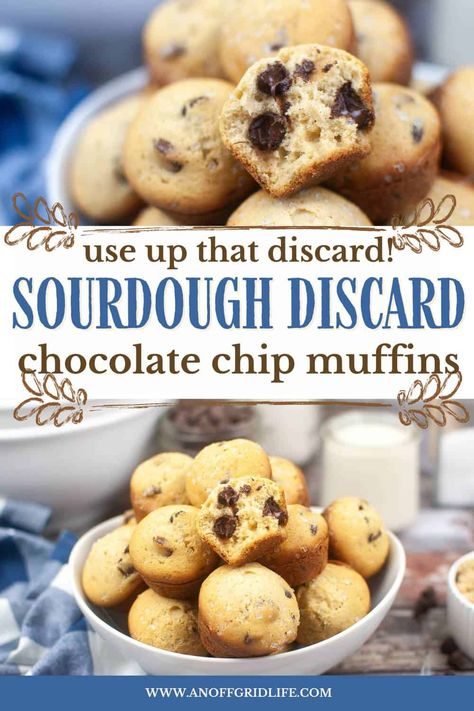 Sourdough Discard Chocolate Chip Muffins Recipe Chocolate Chip Discard Muffins, Discard Mini Muffins, Sourdough Discard Muffins Chocolate Chip, Sourdough Discard Protein Muffins, Sourdough Discard Kids Snacks, Snacks That Don't Need Refrigeration, Sourdough Discard Mini Muffins, Sourdough Discard Chocolate Chip Muffins, Sourdough Chocolate Chip Muffins