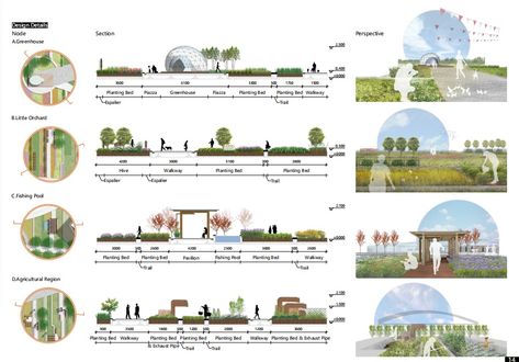 Landscape Section, Landscape Architecture Section, Amphitheater Architecture, Landscape Diagram, Landscape Architecture Diagram, Landscape Architecture Graphics, Roof Garden Design, Architecture Design Process, Urban Design Graphics