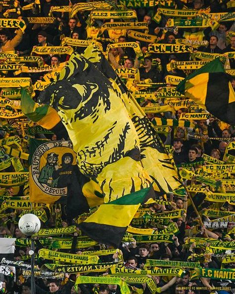 Fc Nantes, January 11, Football, Lifestyle, Collage, On Instagram, Pins, Instagram, Nantes