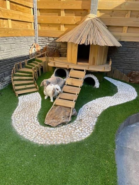 Farm Dog House Ideas, Rabbit Outdoor House Ideas, Rabbit Nesting Box Ideas, Rabbit Run Ideas, Bunny House Outdoor, Rabbit Sanctuary, Tartaruga Habitat, Rabbit Tunnel, Diy Rabbit Cage