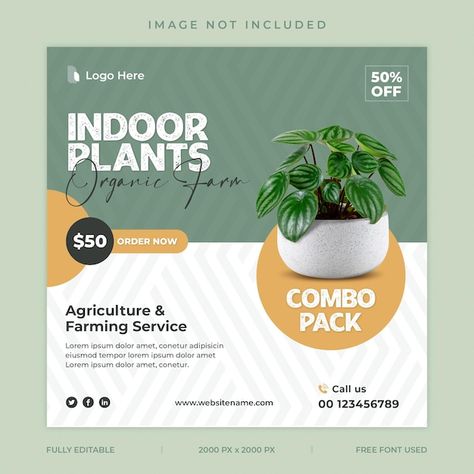 Plant Advertisement, Plants Poster, Urban Landscape Design, Social Media Poster, Studio Ghibli Art, Email Template, Social Media Design Inspiration, Indoor Gardening, Logo Banners