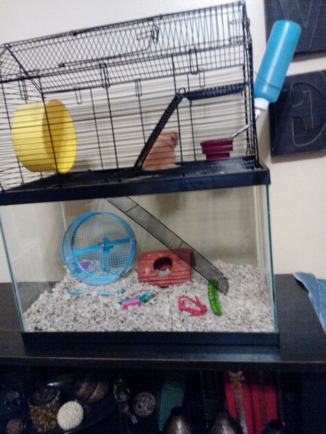 Make your hamster a new cage.You need to get a tank and a tank topper. My hamster loves it already. Gerbil Cages, Hamster Habitat, Home Hair Salons, Hamster Cages, Hamster Care, Hamster House, Hamster Cage, Gerbil, Animal Room