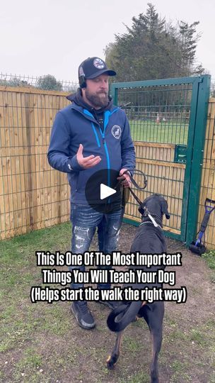 147K views · 11K reactions | Thresholds Are So Important 

#dogs #dogtraining #doberman | Southend Dog Training | southenddogtraining · Original audio Doberman Pinscher Funny, Doberman Training, Puppy Training Treats, Puppy Training Tips, Training Treats, Dog Info, Dog Help, Doberman Pinscher, Puppy Training