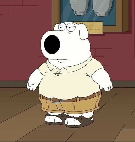 Fat Brian Funny Family Guy, Brian Family Guy, Family Guy Meme, I Griffin, Family Guy Cartoon, Family Icon, Family Guy Stewie, Family Guy Funny, Family Guy Funny Moments