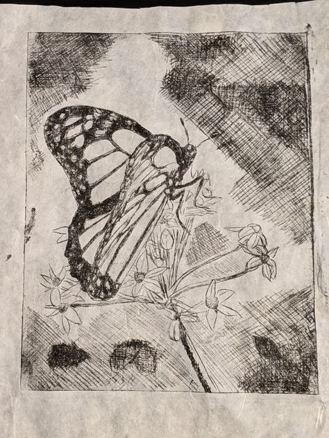 Dry Point etching of a monarch butterfly on a flower Dry Point Etching Ideas, Butterfly Printmaking, Butterfly Etching, Butterfly On A Flower, Intaglio Printmaking Drypoint, Drypoint Etching Artists, Dry Point Etching, Drypoint Etching Landscape, Intaglio Printmaking