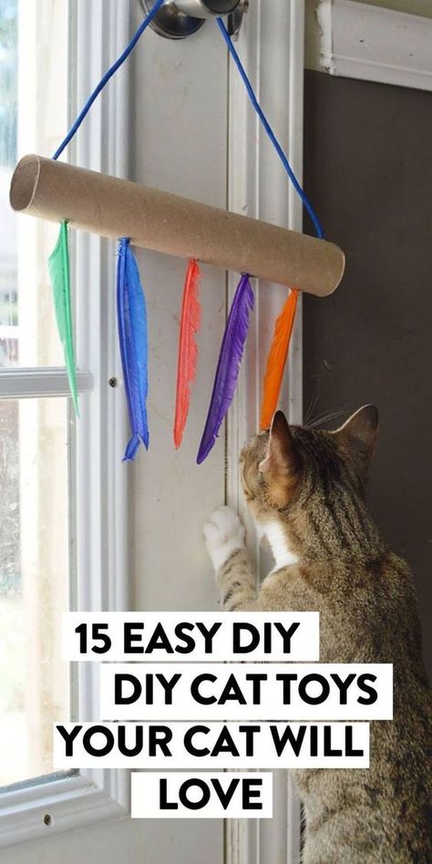 Toilet Paper Roll Cat Toy Diy, Dog And Cat Toys Diy, Easy Cat Toys To Make, Cat Toys With Toilet Paper Rolls, Toys For Cats Diy How To Make, How To Make Cat Toys Easy, Easy Homemade Cat Toys, How To Make Cat Toys Out Of Yarn, Toilet Roll Cat Toy