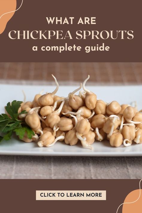 Pin showing chickpea sprouts with helpful text on nutrition, health benefits, cooking tips, buying, and storing. Perfect for anyone wanting to add a healthy and tasty ingredient to their diet. #ChickpeaSprouts #HealthyEating #NutritionGuide Buckwheat Benefits, Seeds Crackers, Intermittent Fasting Recipes, Pb Recipes, Seed Sprouting, Grow Sprouts, Forks Over Knives Recipes, Buckwheat Recipes, Growing Microgreens