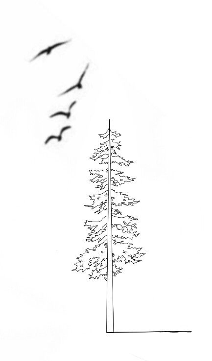 Tree Outline Tattoo, Nature Sleeves, Cover Up Tattoo Design, Tree Line Tattoo, Boyfriend Tattoo, Maple Tree Tattoos, Tattoo Bts, Ripped Skin Tattoo, Bts Tattoo