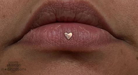 Shaman Modifications (@shamanmods) • Instagram photos and videos Ashley Piercing, Labret Piercing, Rose Gold Heart, Gold Heart, Heart Of Gold, The Cutest, Piercings, Rose Gold, Tattoos