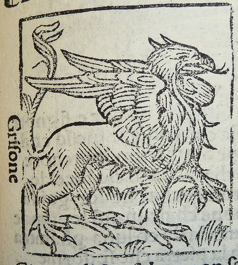 Woodcut of a griffon by Penn Provenance Project, via Flickr Griffon Tattoo, Griffin Mythical, Griffin Tattoo, Eclipse Tattoo, Fairytale Creatures, Medieval Drawings, Woodcut Art, Alice And Wonderland Quotes, Graphic Design Books