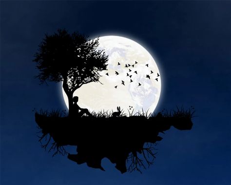 Moon Island Tree - Free image on Pixabay Whatsapp Dp, Moon, Blue