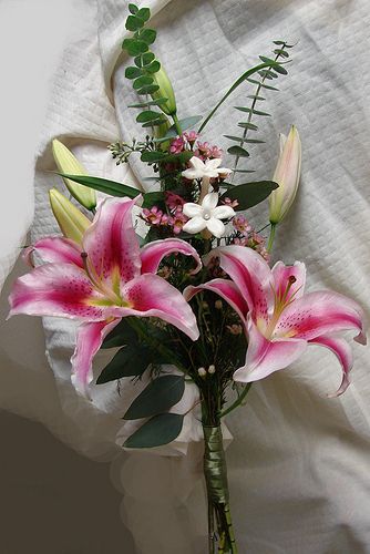 stargazer lily bouquet | stargazer lily bridesmaid bouquet 1 Colorful Lily Bouquet, Tigerlily Bouquet, Lily Bouquet Aesthetic, Stargazer Lily Wedding Bouquet, Lilly Bouquets, Stargazer Bouquet, Stargazer Lily Wedding, Stargazer Lily Bouquet, Lily Flower Bouquet