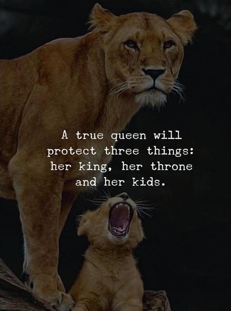 True Life Quotes, Lioness Quotes, Mamma Bear, Leo Quotes, Her King, Lion Family, Lion Quotes, Lion Love, Inspirational And Motivational Quotes