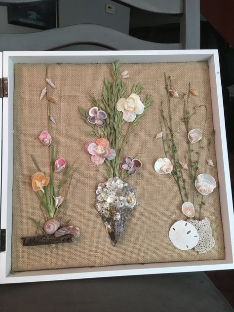 Shadow Box Shells Diy, Shadow Box Shells, Seashell Butterfly Shell Art, Shells In Shadow Boxes, Beach Keepsakes, Shell Flower And Driftwood, Shell Bouquet, Shell Artwork, Seashell Artwork