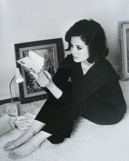 Barbara Parkins, Peyton Place, Sharon Tate, Valley Of The Dolls, Scar Tissue, Human Relationship, 70s Style, Video Film, Golden Age Of Hollywood